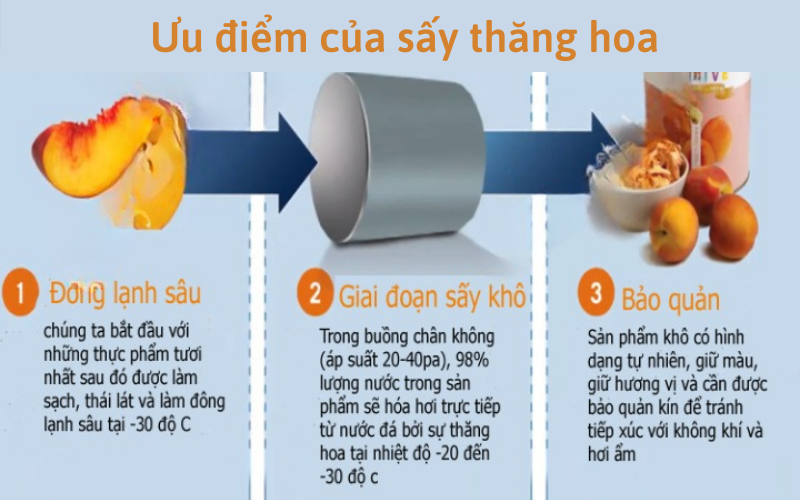 Sấy thăng hoa là gì? Ưu điểm của sấy thăng hoa