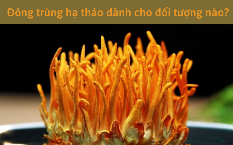 Đông trùng hạ thảo dành cho đối tượng nào?