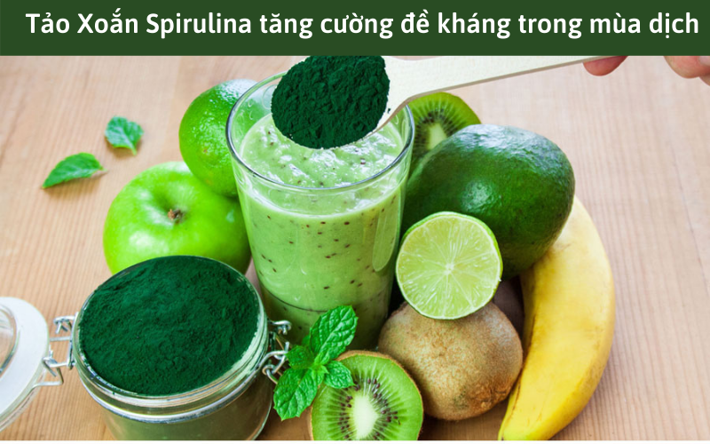 Sử dụng Tảo Xoắn Spirulina để tăng cường đề kháng trong mùa dịch
