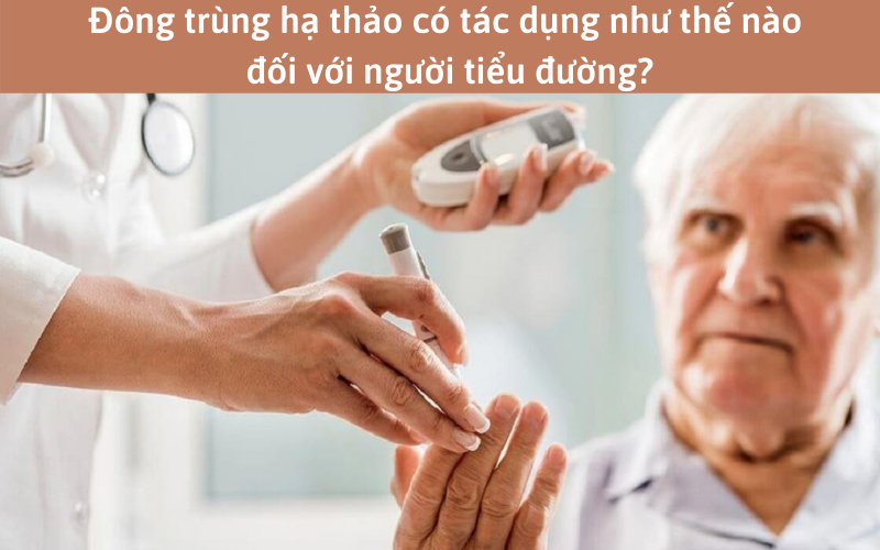 Đông trùng hạ thảo có tác dụng như thế nào đối với người tiểu đường?