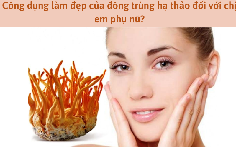Công dụng làm đẹp của đông trùng hạ thảo đối với chị em phụ nữ?