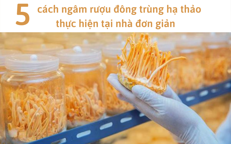 5 cách ngâm rượu đông trùng hạ thảo thực hiện tại nhà đơn giản