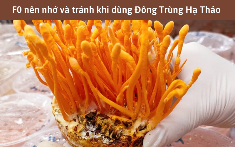 F0 nên nhớ và tránh khi dùng Đông Trùng Hạ Thảo 