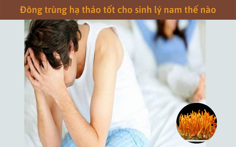 Đông trùng hạ thảo tốt cho sinh lý nam thế nào