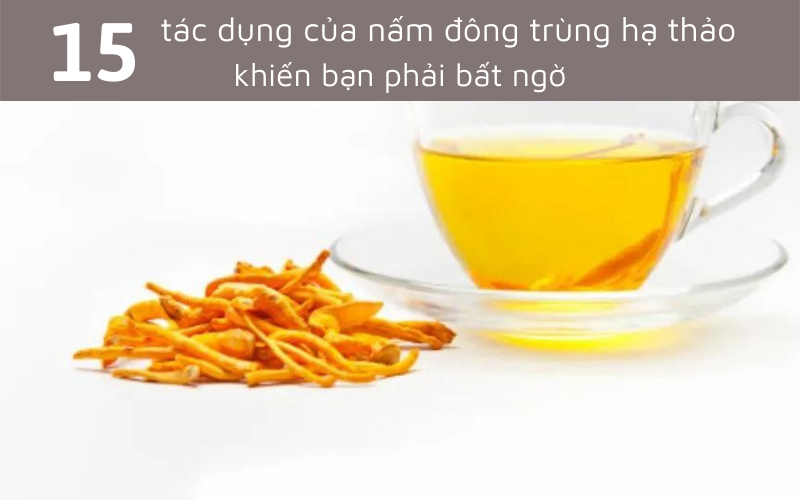 15 tác dụng của nấm đông trùng hạ thảo khiến bạn phải bất ngờ