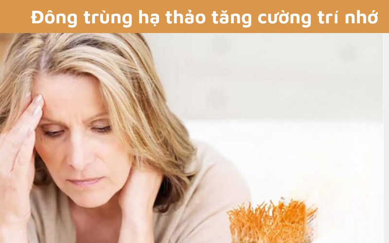 Đông trùng hạ thảo tăng cường trí nhớ