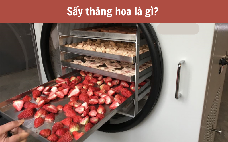 Sấy thăng hoa là gì? Nguyên lý và ưu nhược điểm.