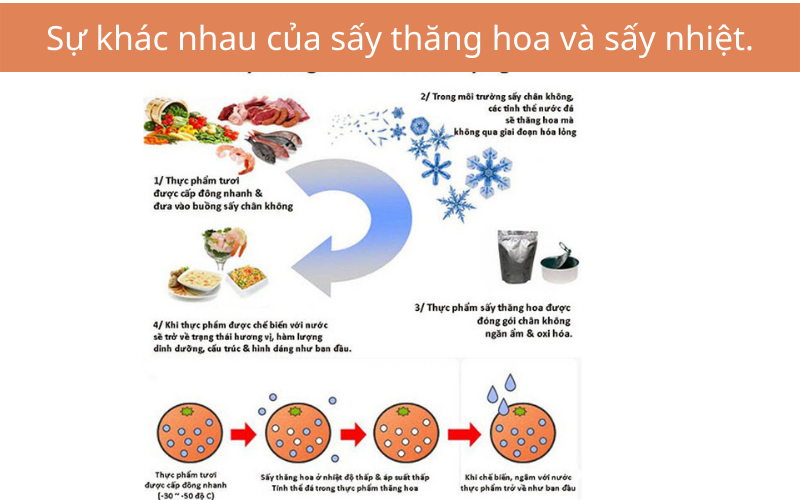 Sự khác nhau của sấy thăng hoa và sấy nhiệt.
