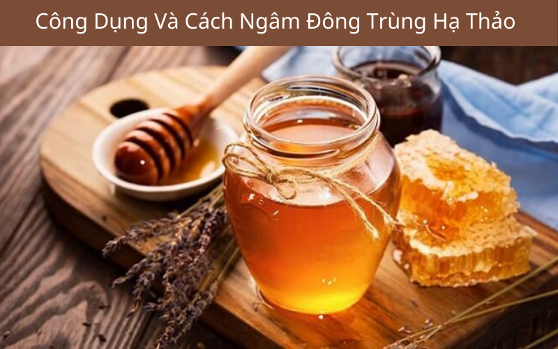 Đông Trùng Hạ Thảo Ngâm Mật Ong: Công Dụng Và Cách Ngâm