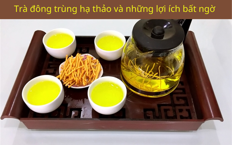 Trà đông trùng hạ thảo và những lợi ích bất ngờ