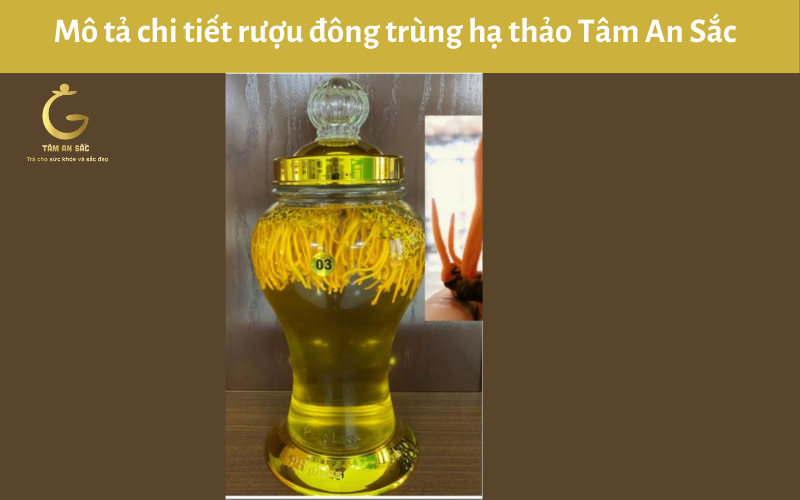Mô tả chi tiết sản phẩm rượu đông trùng hạ thảo Tâm An Sắc