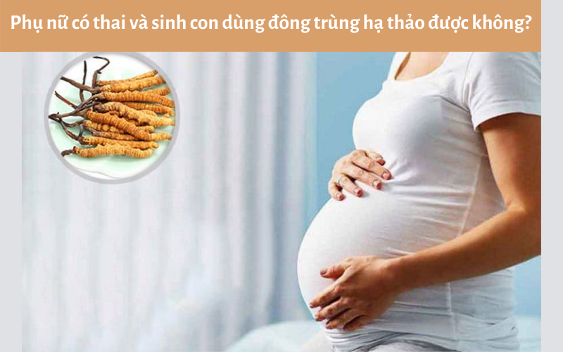 Phụ nữ có thai và sinh con dùng đông trùng hạ thảo được không?