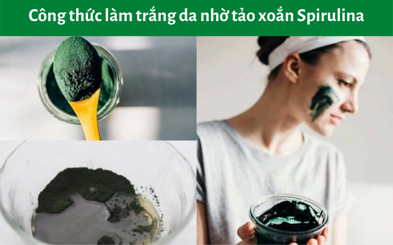Công thức làm trắng da nhờ tảo xoắn Spirulina