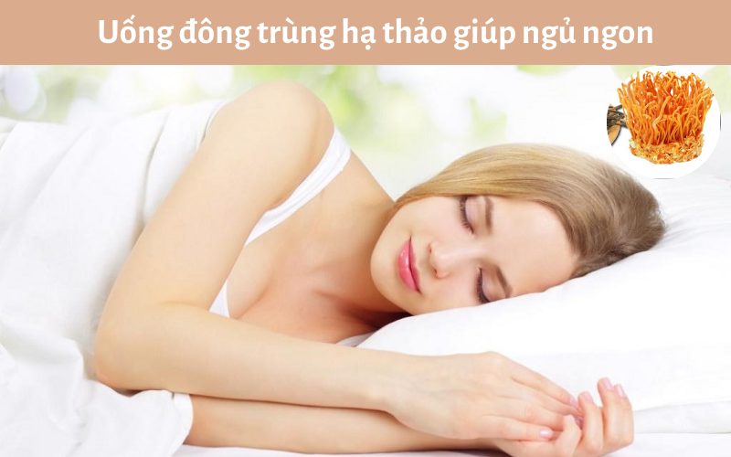 Uống đông trùng hạ thảo giúp ngủ ngon