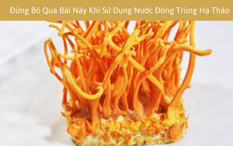 Đừng Bỏ Qua Bài Này Khi Sử Dụng Nước Đông Trùng Hạ Thảo