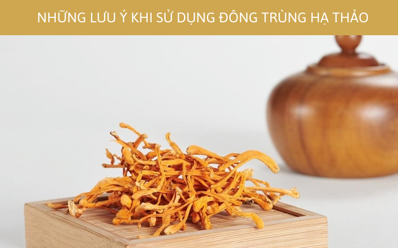 NHỮNG LƯU Ý KHI SỬ DỤNG ĐÔNG TRÙNG HẠ THẢO 